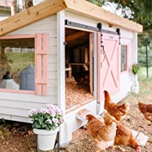 Why Your Chicken Coop Needs a Solar Fan – Keep Your Hens Cool, Healthy & Happy