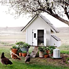 Amtrak Solar Fan Quietly Cools your House Ventilates your house, garage or RV and protects against moisture build-up
